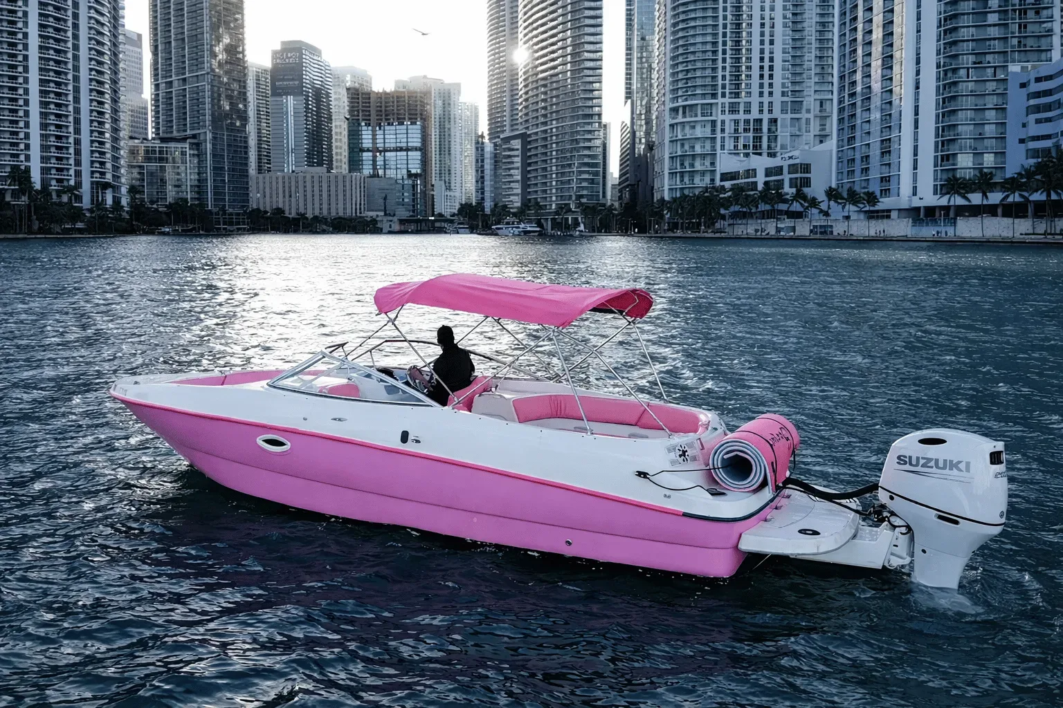 Bayliner - image 1
