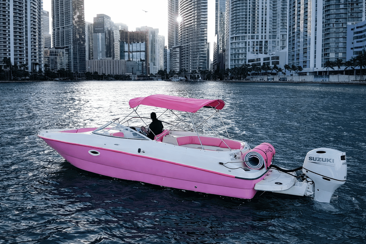 Bayliner - image 1