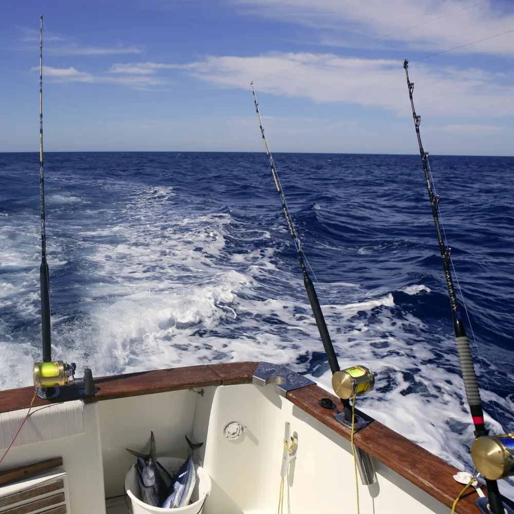 Intracoastal fishing Fort Lauderdale