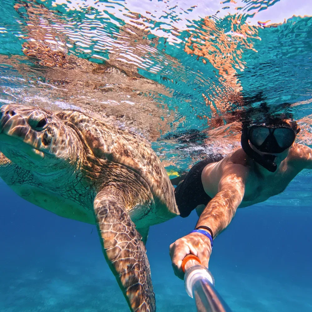 Snorkeling Fort Lauderdale
