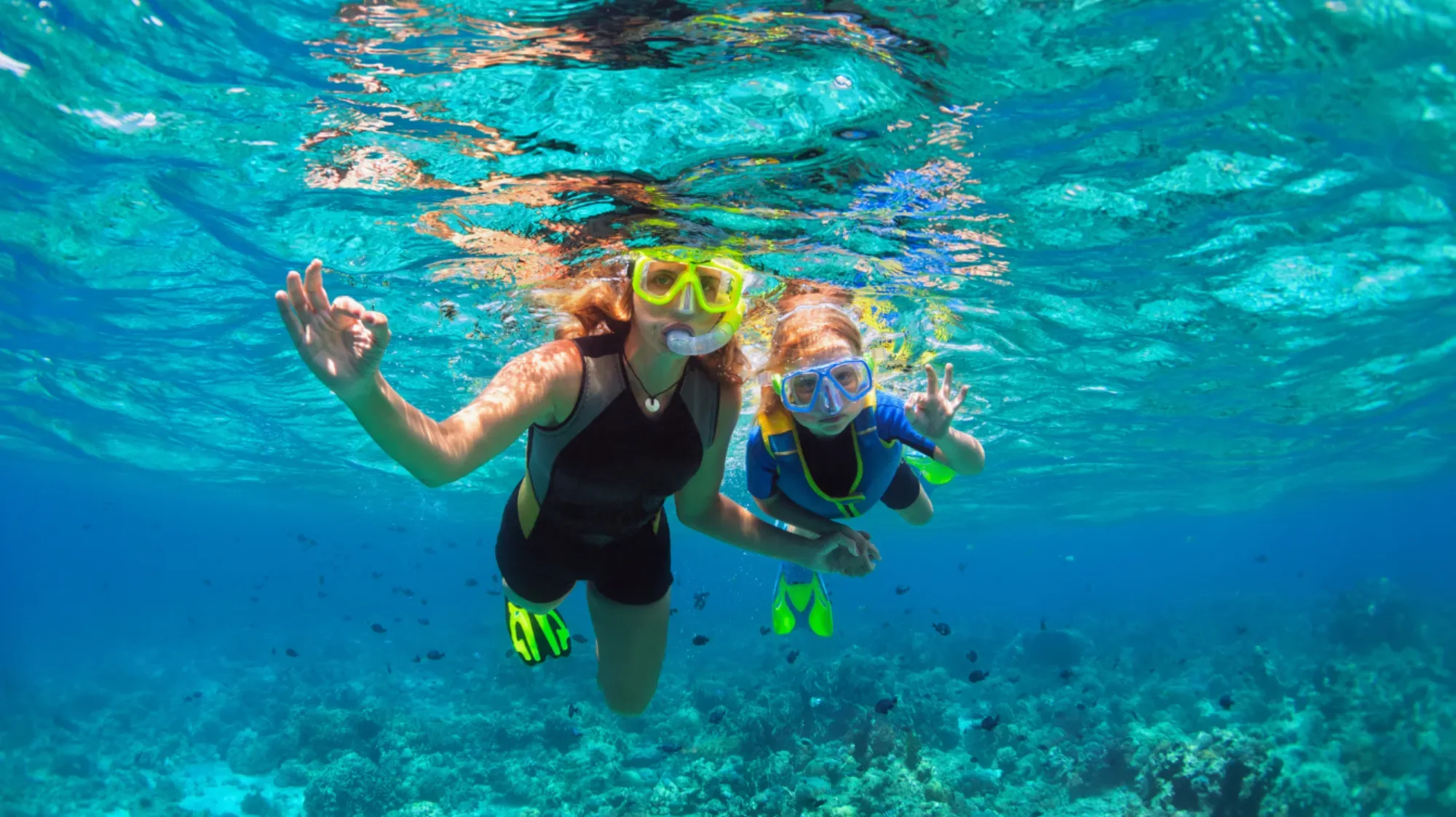 Snorkeling Tours